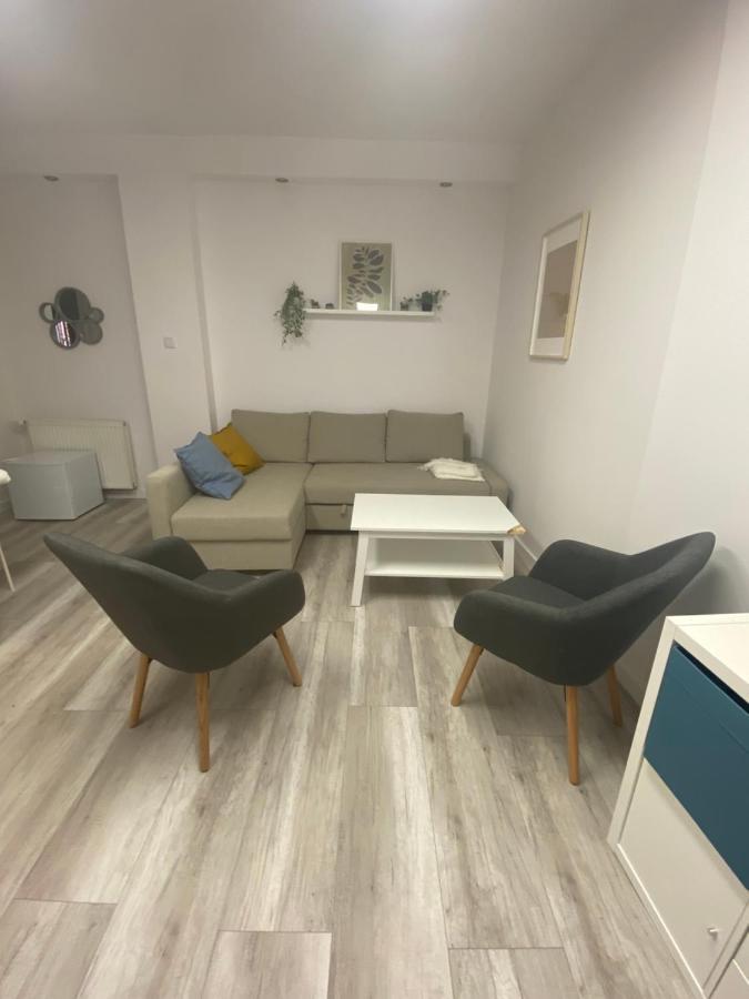 Chodkiewicza 14 - Apartament ビィドゴシュチュ エクステリア 写真